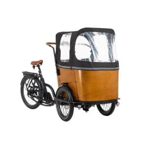 Adore Cargo E-Bike Curved