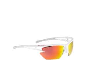 Alpina Eye-5 HR S CM+ Sportbrille