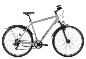Ciclista All Road | 28 Zoll | grey black white | 60 cm Radgröße