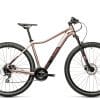 Cube Access WS EAZ 2021 | 29 Zoll | blushmetallic´n´grey | 17 Zoll Radgröße