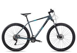 Axess ROGUE 29 2021 | 29 Zoll | grey/black/turquoise | 19 Zoll Radgröße