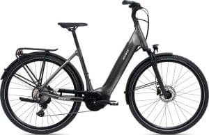 Giant DailyTour E+ 2 D E-Bike Grau Modell 2022