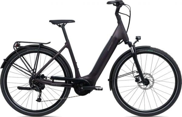 Giant DailyTour E+ 3 E-Bike Braun Modell 2022