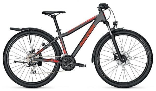 Raleigh Daymax Trekkingrad Grau Modell 2021