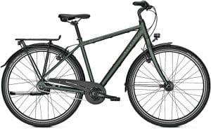 Raleigh Devon 8 Citybike Grün Modell 2022