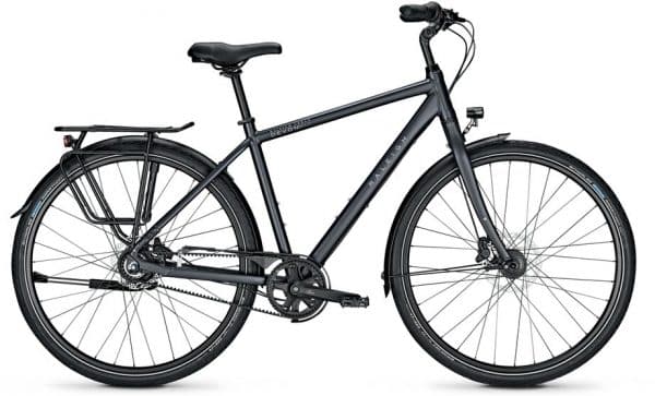 Raleigh Devon Pro Citybike Grau Modell 2021