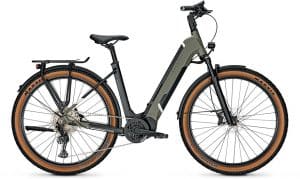 Kalkhoff Entice 5.B Advance+ E-Bike Grün Modell 2022