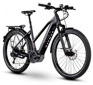 Raymon eTourray LTD 1.0 E-Bike Schwarz Modell 2019