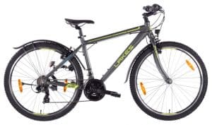 Lakes Flexx 100 Jugendfahrrad Grau Modell 2021