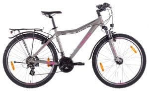 Lakes Flexx 120 Street Jugendfahrrad Grau Modell 2021