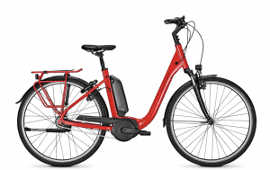 Kalkhoff Agattu 1.B Advance E-Bike Rot Modell 2021