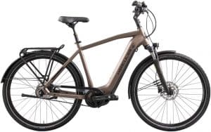 Hercules Futura Comp I-F5 E-Bike Braun Modell 2022