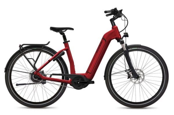 Flyer Gotour2 5.00 - Intuvia E-Bike Rot Modell 2021