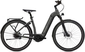 Flyer Gotour6 3.40 E-Bike Grau Modell 2022