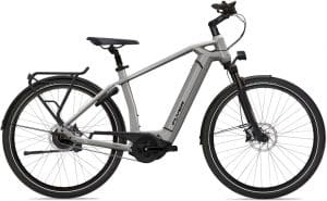 Flyer Gotour6 3.40 E-Bike Silber Modell 2022