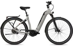 Flyer Gotour6 7.83 - Nyon - Rohloff E E-Bike Silber Modell 2021