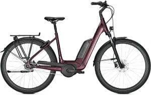 Kalkhoff Image 1.B Advance E-Bike Rot Modell 2022