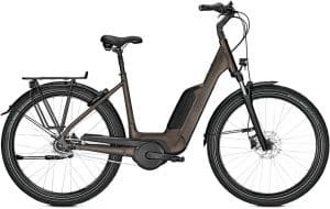 Kalkhoff Image 1.B XXL E-Bike Grau Modell 2022