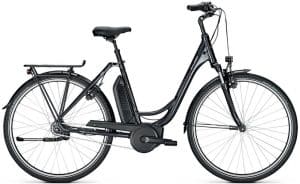 Raleigh Jersey 7 F E-Bike Grau Modell 2021