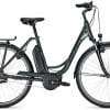 Raleigh Jersey Plus E-Bike Grün Modell 2022