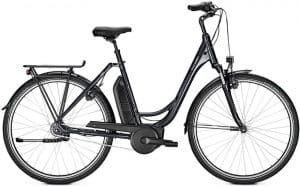 Raleigh Jersey Plus F E-Bike Grau Modell 2021