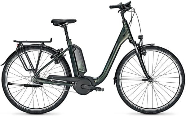 Raleigh Kingston 7 Plus R E-Bike Grün Modell 2021