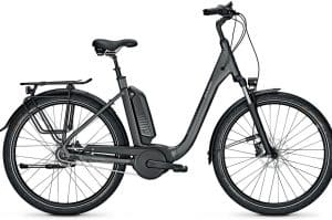 Raleigh Kingston 8 XXL F E-Bike Grau Modell 2021