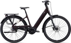 Liv Allure E+ 1 E-Bike Braun Modell 2022