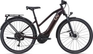 Liv Amiti-E+ 2 - RD Evo E-Bike Braun Modell 2022