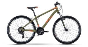 Raymon NineRay 1.0 Mountainbike Grün Modell 2022