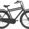 Gazelle PuurNL Citybike Schwarz Modell 2022