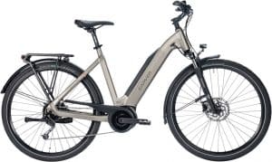 Carver Route E.420 E-Bike Grau Modell 2021