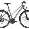 Raleigh Rushhour 1.0 Trekkingrad Grau Modell 2021