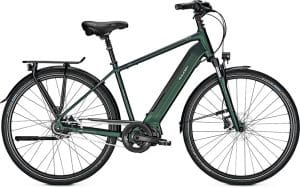 Raleigh Sheffield 8 E-Bike Grün Modell 2019