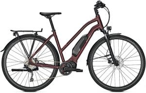 Raleigh Stone 10 E-Bike Rot Modell 2021