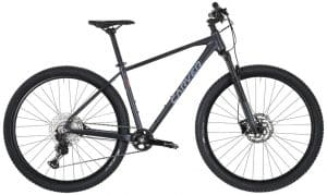 Carver Strict 170 Mountainbike Grau Modell 2022