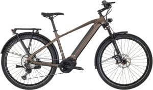 Carver SUV E.450 E-Bike Braun Modell 2022