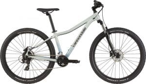 Cannondale Trail 8 Mountainbike Grau Modell 2022