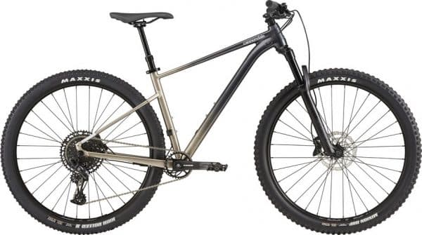 Cannondale Trail SE 1 Mountainbike Grau Modell 2021