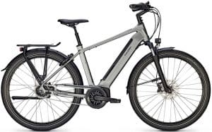 Raleigh Bristol XXL E-Bike Grau Modell 2022