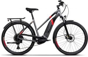 Malaguti Carezza TRT 4.0 E-Bike Grau Modell 2022