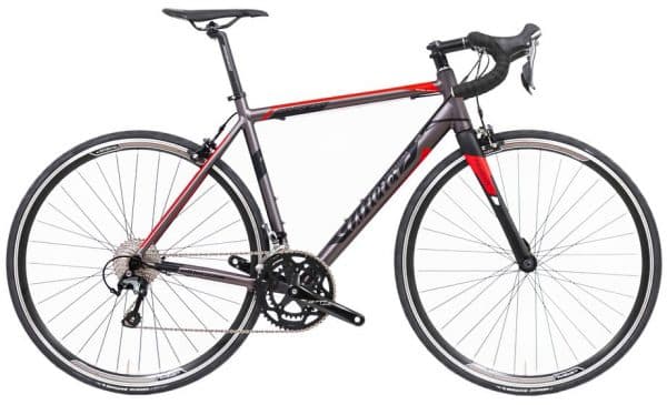 Wilier Montegrappa - Tiagra Rennrad Grau Modell 2021