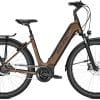 Raleigh Bristol XXL E-Bike Braun Modell 2022