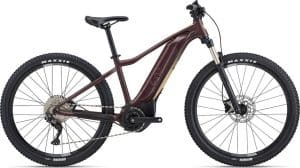 Liv Tempt E+ 1 E-Bike Braun Modell 2022