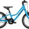 Naloo Chameleon 16