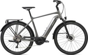 Giant AnyTour E+ 2 GTS E-Bike Grau Modell 2021