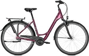 Raleigh Chester 7 Citybike Rot Modell 2022