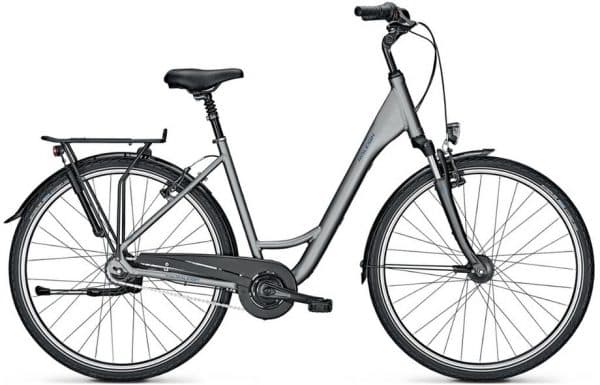 Raleigh Chester 8 Citybike Grau Modell 2021