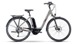 Raymon CityRay E 5.0 E-Bike Grau Modell 2022
