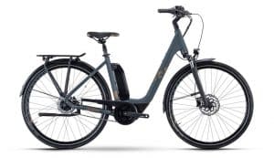 Raymon CityRay E 6.0 FW E-Bike Grau Modell 2022